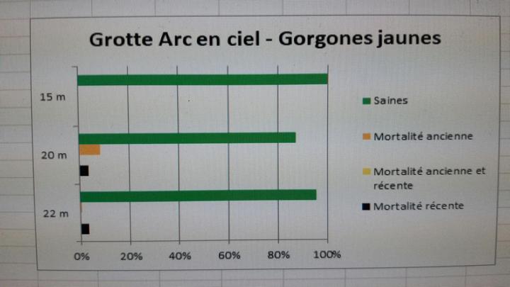 grotte arcenciel gorgone jaune