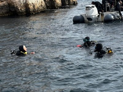 e7fac362 7e2f 452a afdc 69552e2e4a3b