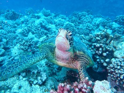 2eedd704 9e1a 423c 99ff ebd1cf8282da