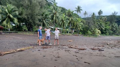 446a8746 9b7c 4128 886f 2376b1bfdf15