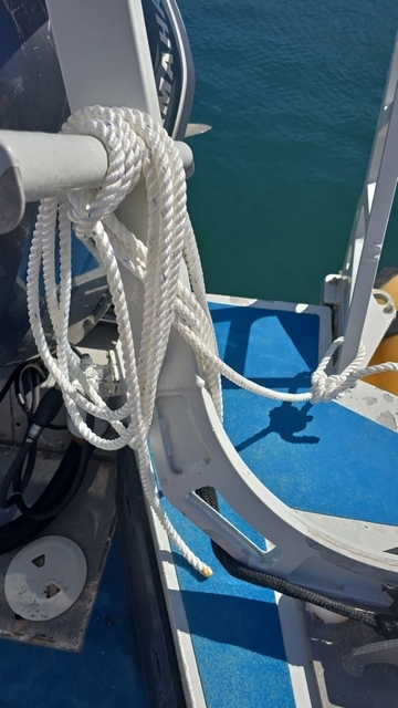 a4457990 51ab 44c4 a743 d2e80861932f